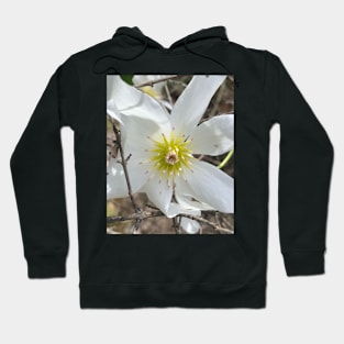 Clematis Hoodie